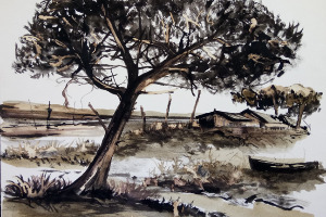 LES AMIS DU LITTORAL NORD BASSIN D'ARCACHON