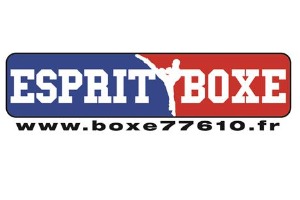 ASTS - ECOLE DE BOXE 77610
